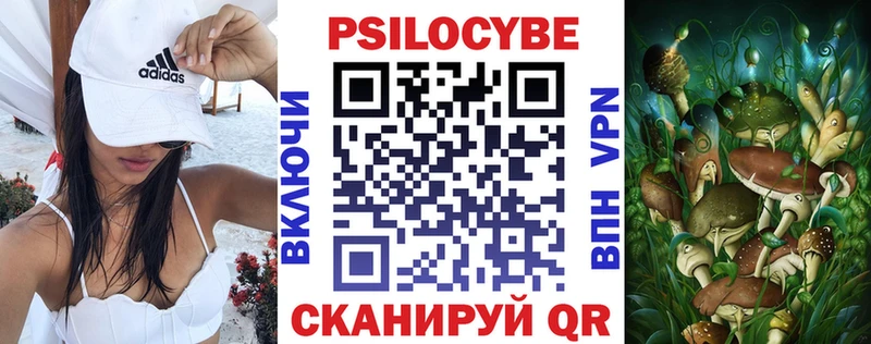 Псилоцибиновые грибы мицелий купить наркотик Нолинск